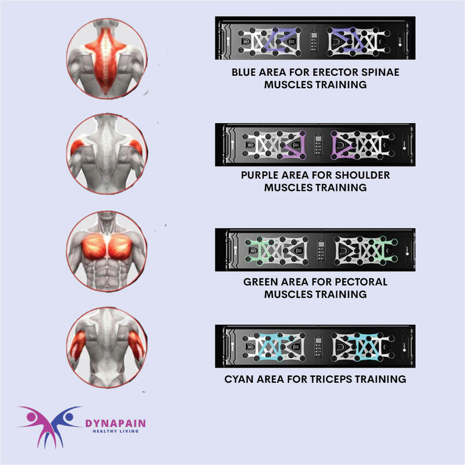 Folding Multifunctional Push up Board