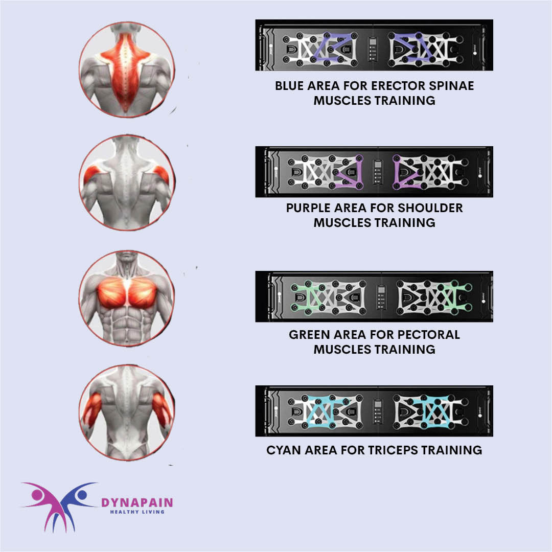 Folding Multifunctional Push up Board